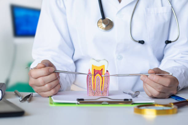 Best Emergency Dental Care for Broken or Chipped Teeth in Bartonvle, IL